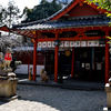 源九郎稲荷神社にて（１）