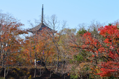 興福寺の五重塔（３）