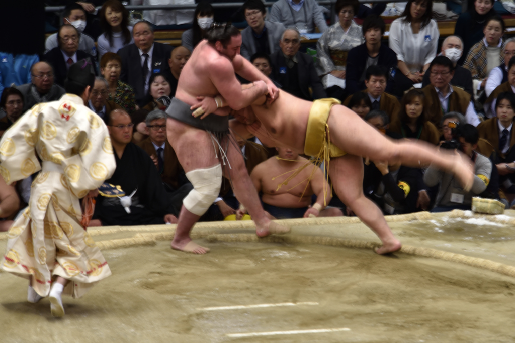 大相撲観戦（４）