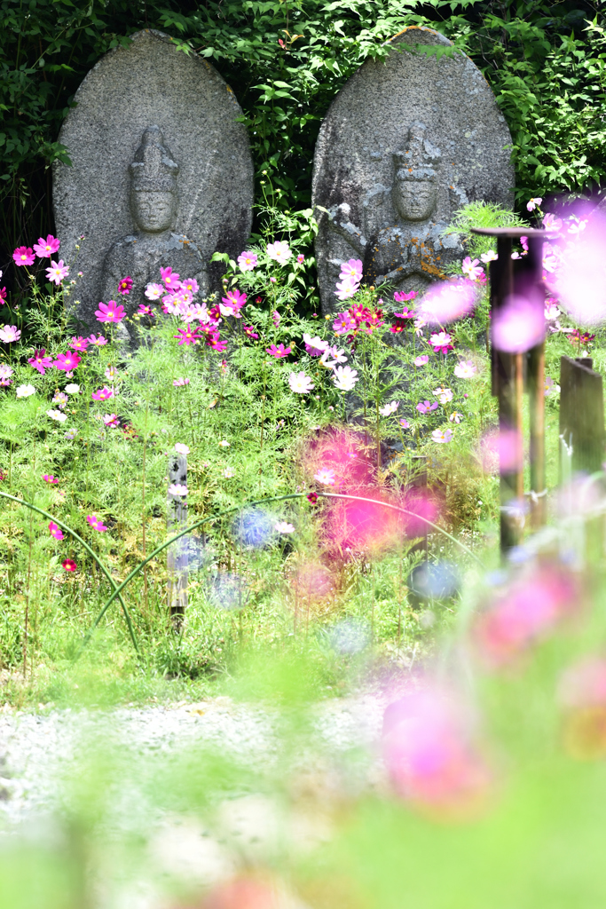 花と石仏（４）