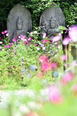 花と石仏（４）