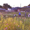 夕陽を狙って（２）