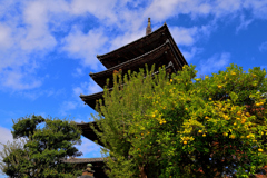 法観寺（八坂の塔）