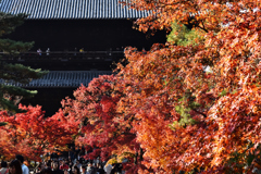 南禅寺の秋（１）