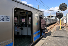 苔玉のぶら下がる駅（４）