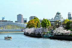 桜クルーズ（７）