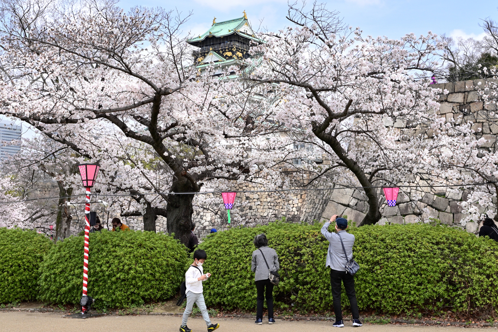 桜の咲く頃（１５）
