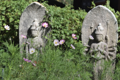 花の寺　般若寺　（０４）