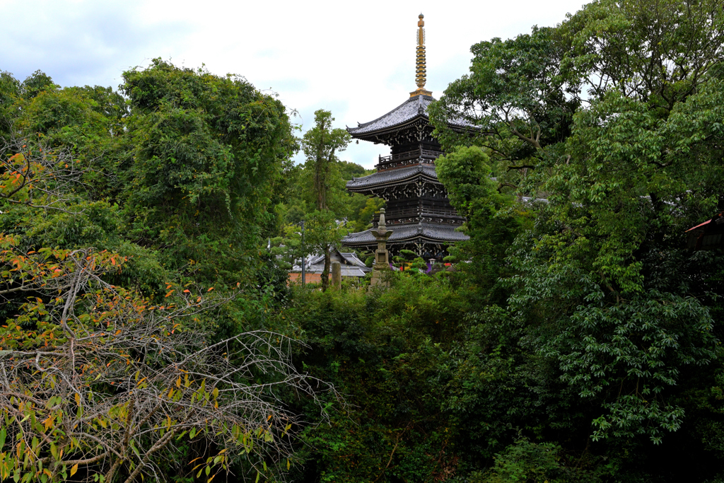 水間寺寸景（２）