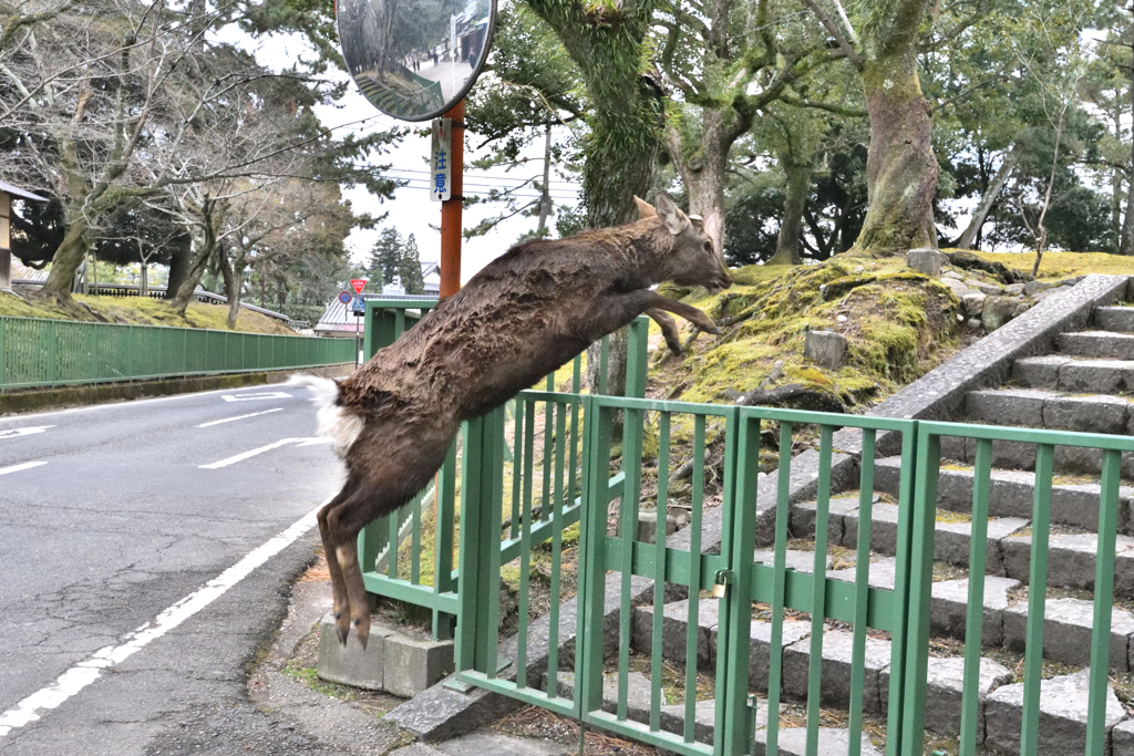 不法侵入
