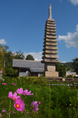 花の寺　般若寺　（０３）