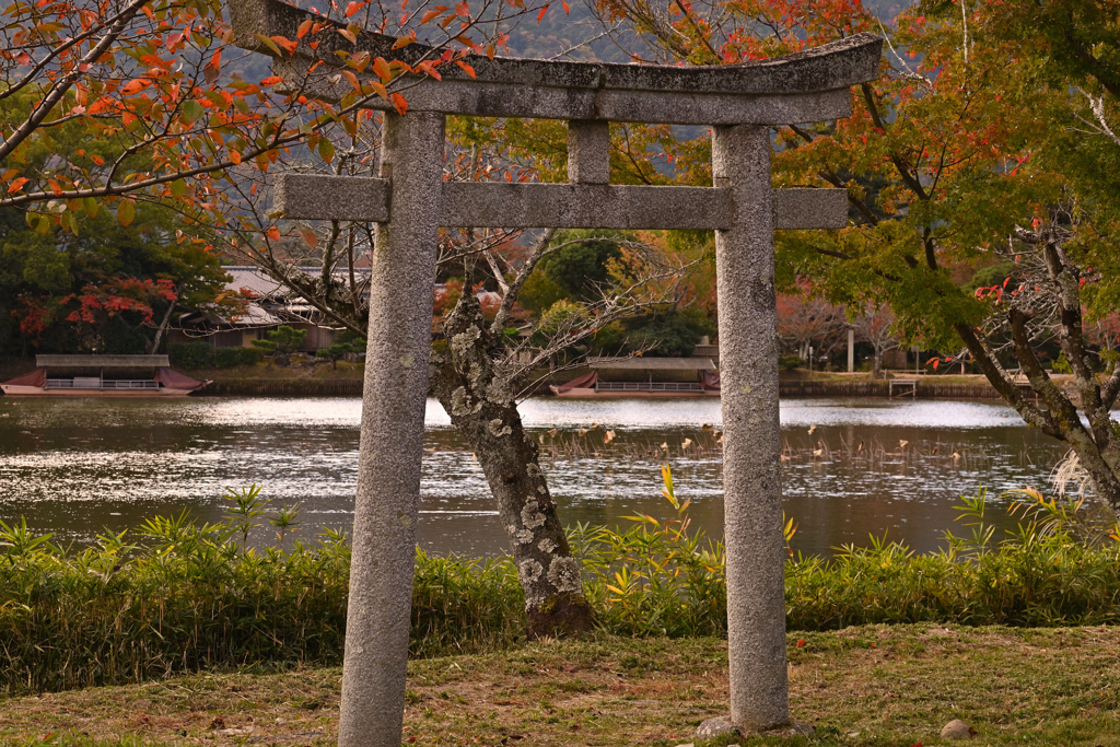 大沢の池ー２