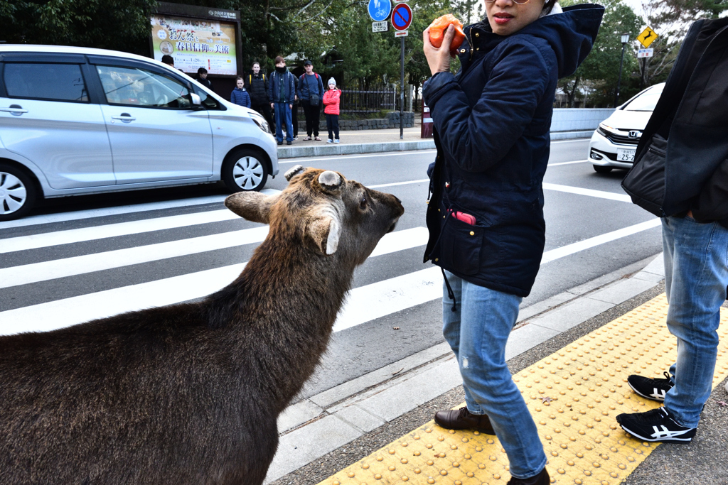 俺にも柿を