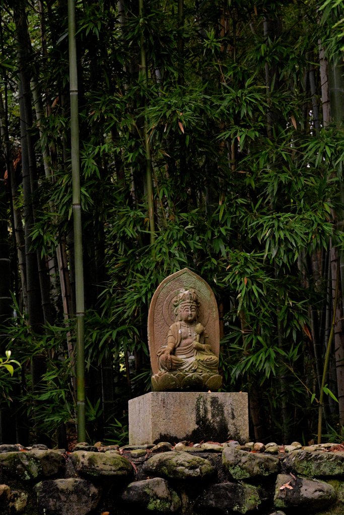 勧修寺にて（３）