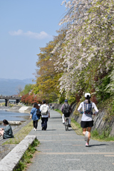 鴨川寸景（２）