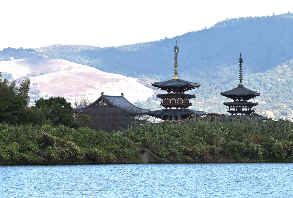 薬師寺遠望ー３