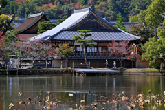 ロケ地 大沢の池で撮ってみた（４）