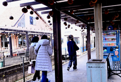 苔玉のぶら下がる駅（３）