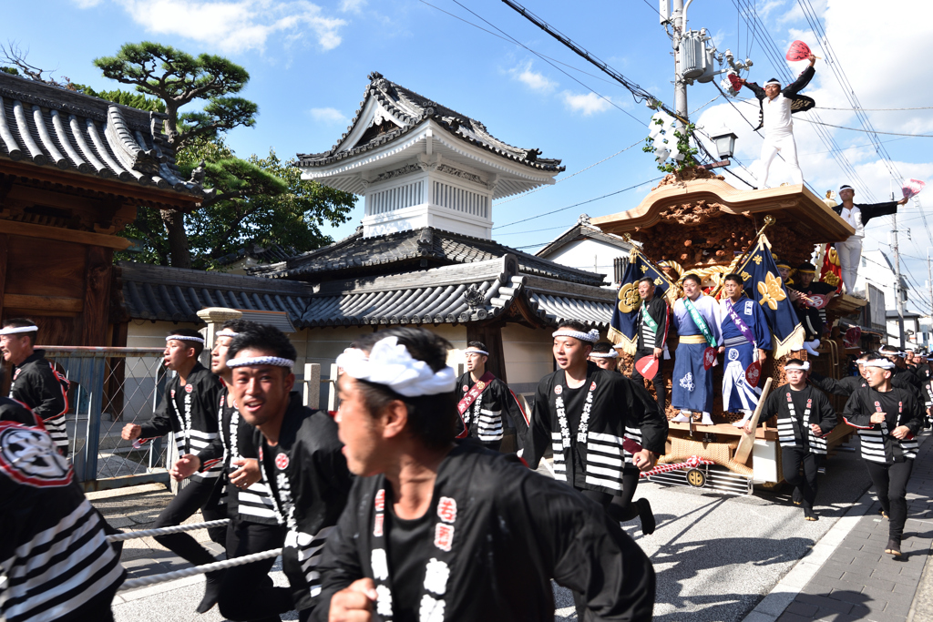 岸和田だんじり祭り（５）