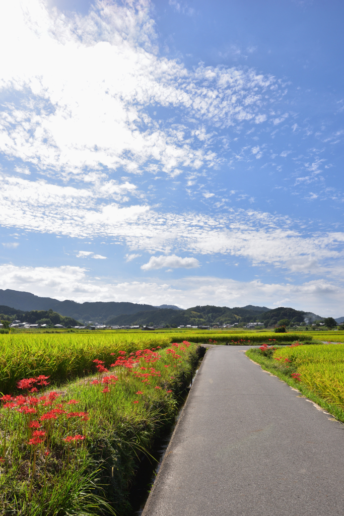 明日香村に秋が来た（６）
