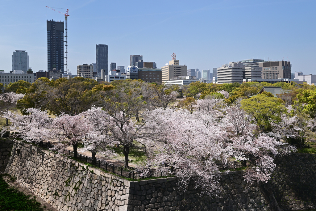 西の丸庭園