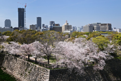 西の丸庭園