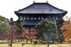 秋色を求めて（１）