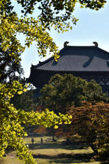 東大寺の秋（２）