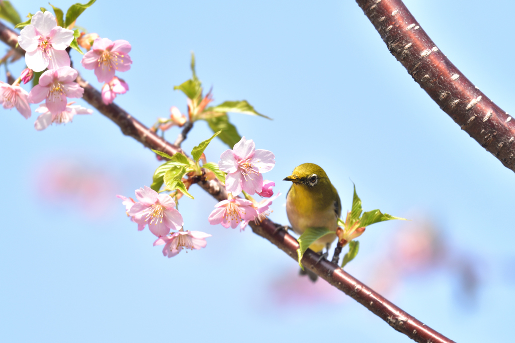 春の陽気に誘われて（２）