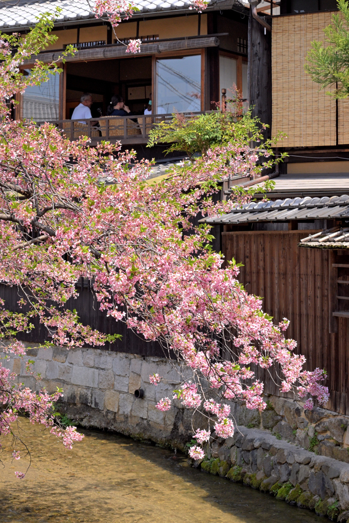 白川筋にて（１）
