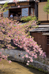 白川筋にて（１）