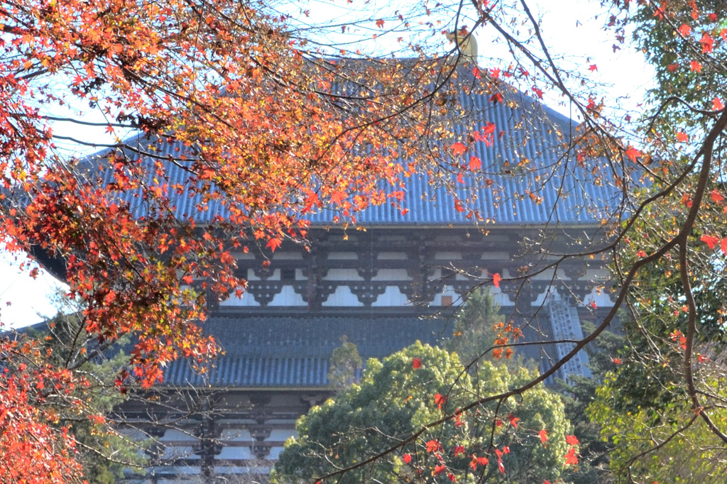 東大寺大仏殿