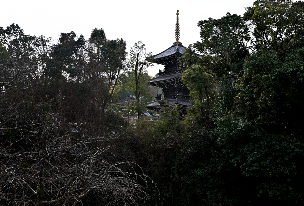 水間寺三重塔