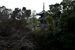 水間寺三重塔