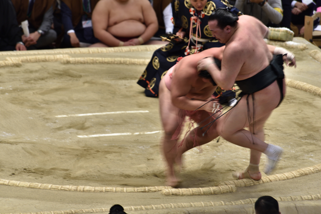 大相撲観戦（６）