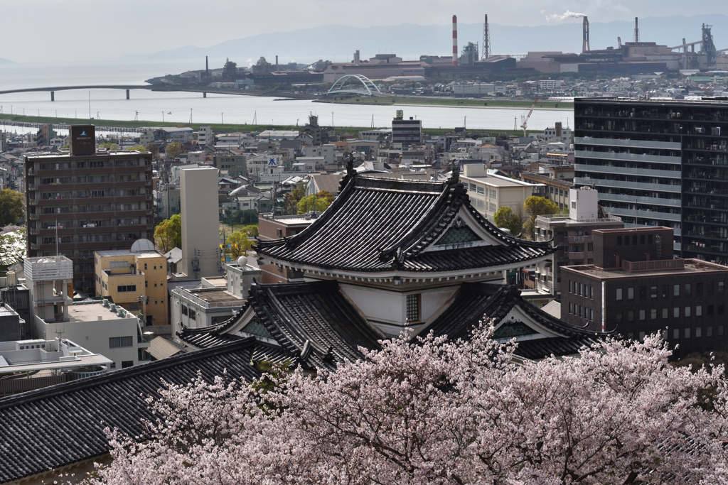 和歌山城寸景（２）