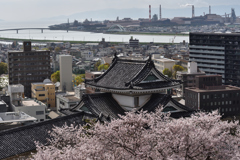 和歌山城寸景（２）