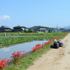 花を求めて