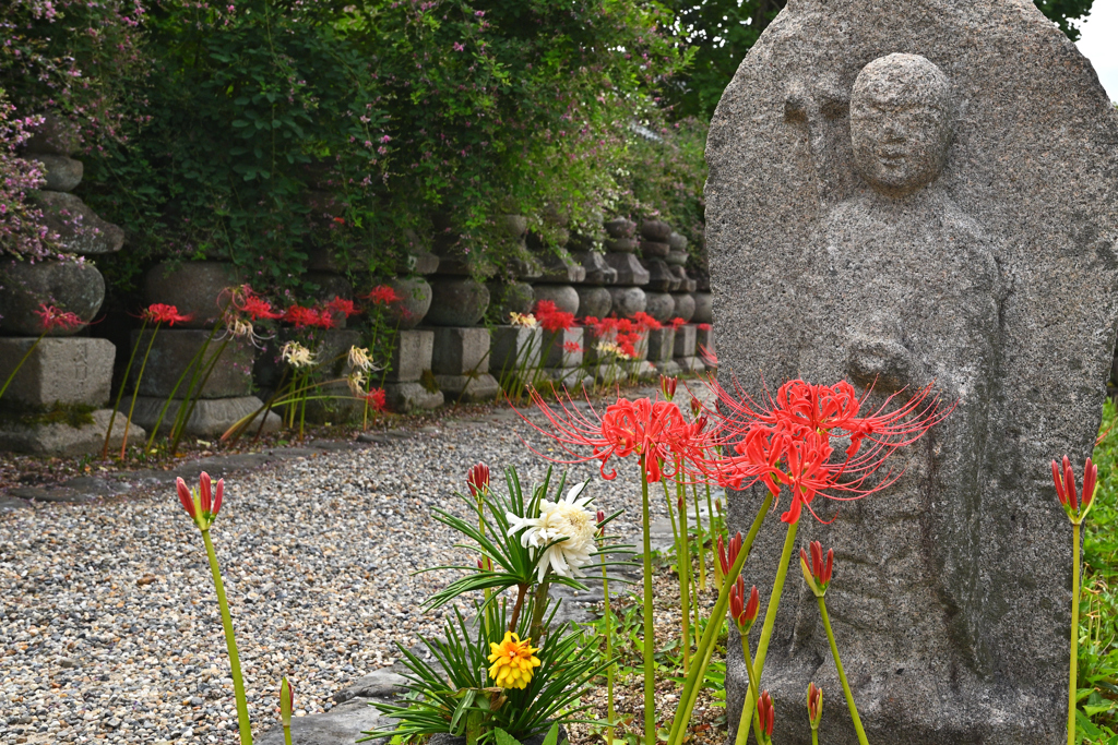 元興寺の秋（６）