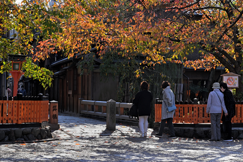 白川寸景（４）