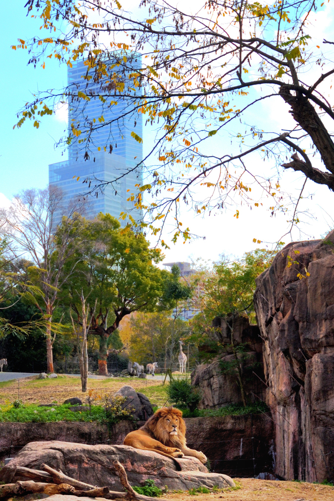 天王寺動物園