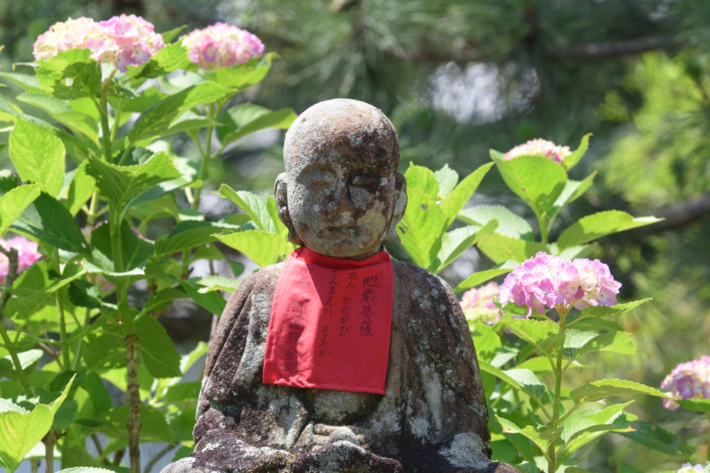 お地蔵様と紫陽花（１）