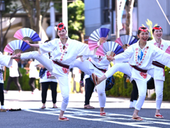 仙台すずめ踊り「伊達の舞」ー４