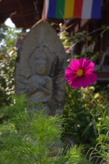 花の寺　般若寺　（０９）