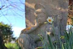 般若寺冬景色（２）
