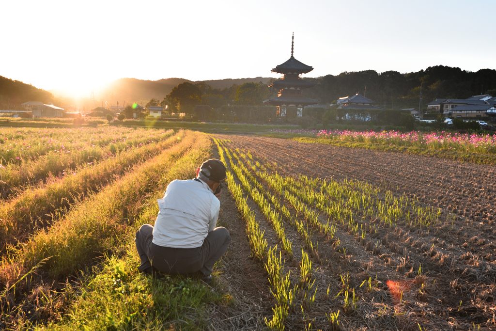 夕陽を狙って（１）