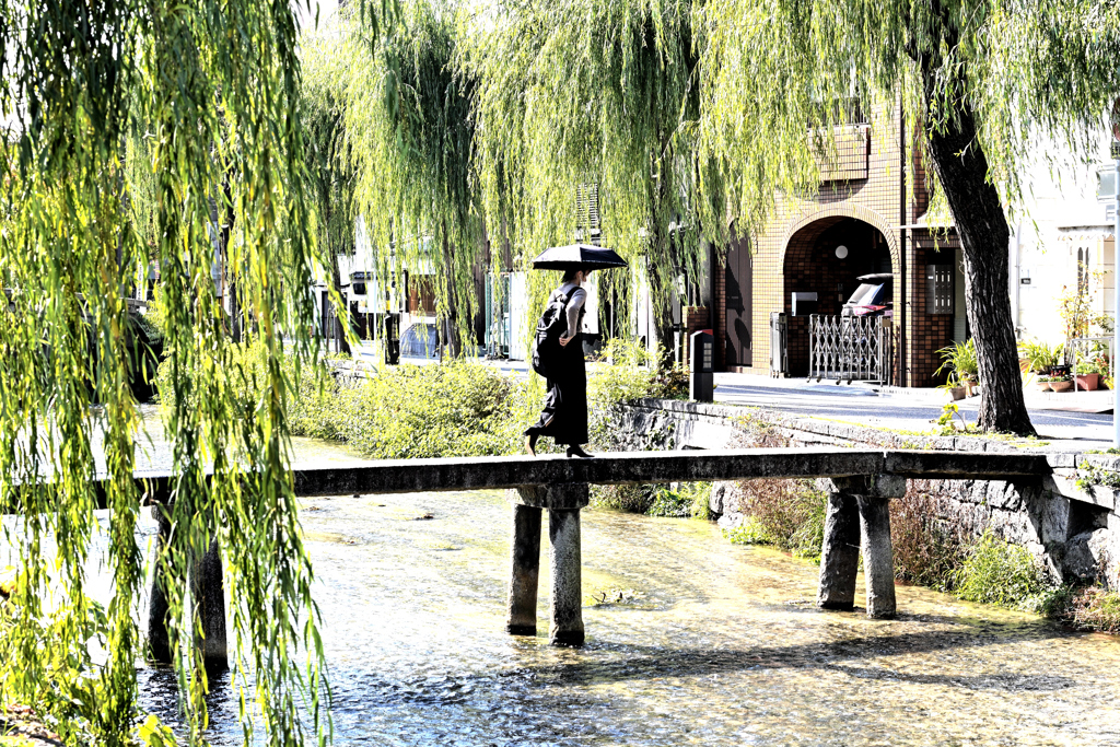 白川寸景（３）