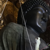 大仏さまのお身拭い（３）