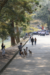 東大寺の春（５）