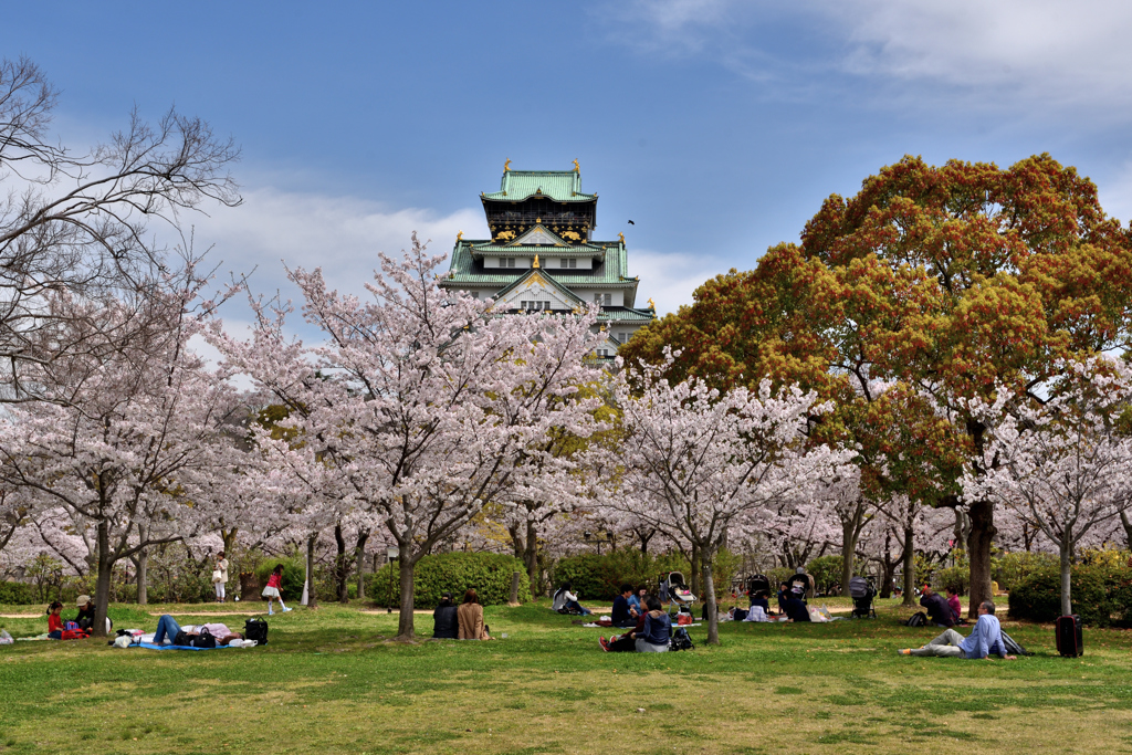 大阪城の春（２）